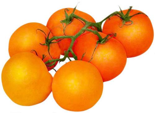 Помидоры оранжевые на ветке