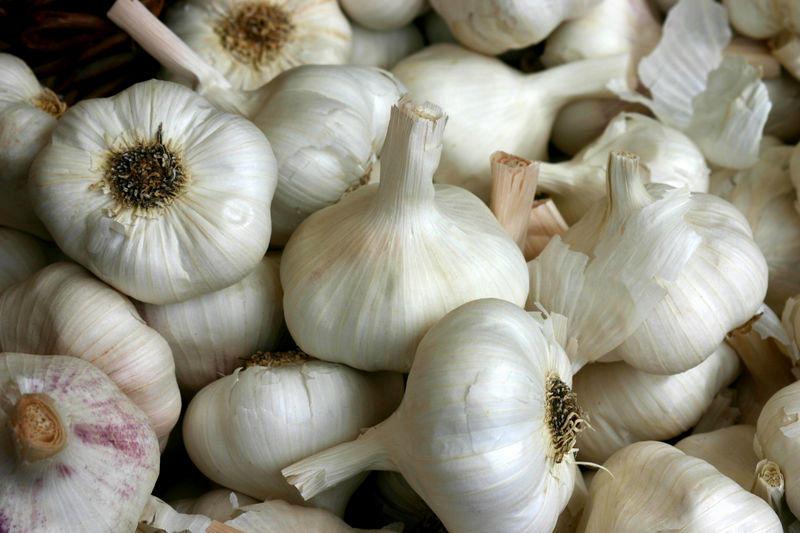 Чеснок (Garlic)