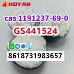 cas 1191237-69-0 GS441524 powder high quality bulk price