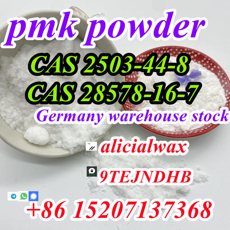 Pmk Powder Pmk Oil Pmk Recipe CAS 28578-16-7/2503-44-8