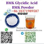 BMK Glycidic Powder CAS 5449-12-7 BMK chemical factories