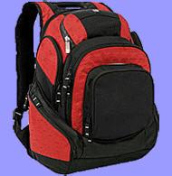 Рюкзак для ноутбука БИС - 213