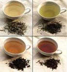 Технические условия чай натуральный сортовой расфасованный ТУ 9191-425-2013