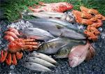 Технические условия вторые блюда из рыбы и морепродуктов замороженные и охлажденные ТУ 9266-038-37676459-2012
