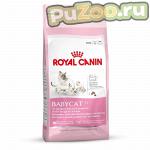 Royal canin mother & babycat - сухой корм для котят от 1 до 4 месяцев роял канин