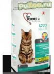 1st Choice adult cat vitality indoor - сухой корм с курицей для домашних взрослых кошек всех пород от 1 года до 10 лет фест чойс эдалт виталити индор