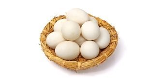 Инкубационные яйца гуся (Башкортостан) - Итальянская порода