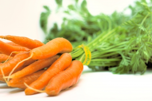 Морковь сорт Нантская 4