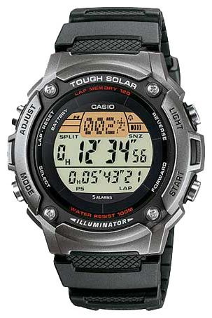 Часы наручные CASIO W-S200H-1A