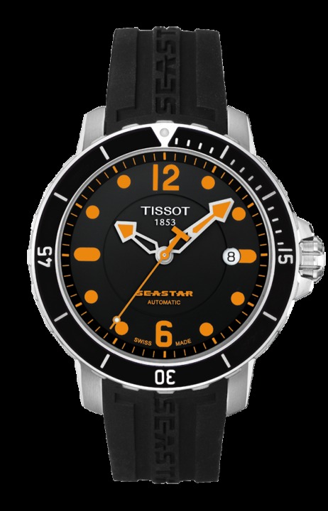 Часы наручные Tissot T066.407.17.057.01