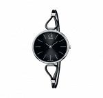 Часы наручные Calvin Klein K3V231C1
