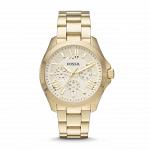Часы наручные FOSSIL AM4510