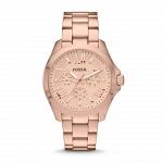 Часы наручные FOSSIL AM4511