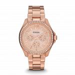 Часы наручные FOSSIL AM4483