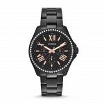 Часы наручные FOSSIL AM4522