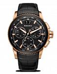 Часы наручные Rodania 2505423