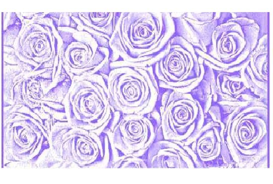 Полотенце махровое пц-3502-2142 70х130 п/т lilac roses цвет 10000