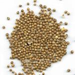 Кориандр зерно 20-25 кг