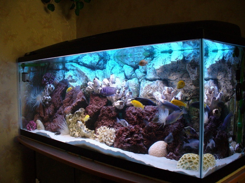 Комплект аквариум литров+тумба+крышка | Акватория
