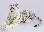 Тигр белый