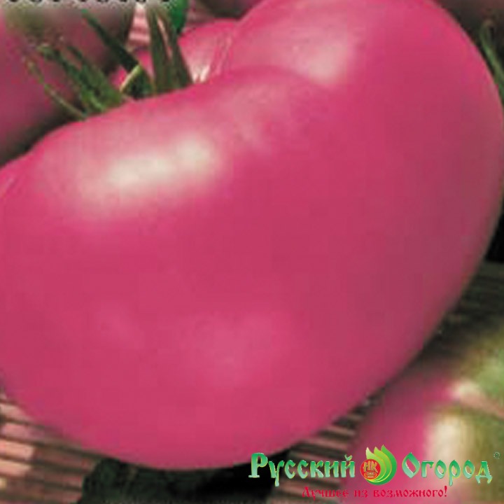 Сорта крупных розовых. Томат ф1 розовый гигант. Томат f1 розовый гигант. Семена томат розовый гигант. Томат f1 Супергигант розовый.