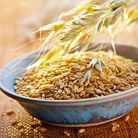 Овес, пшеница фуражный оптом и в розницу