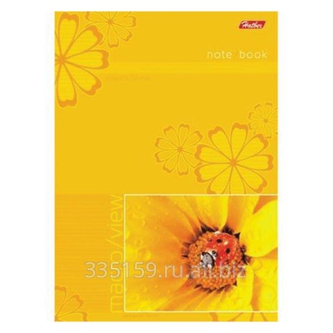 Блокнот А5, 135х205 мм, 80 л., Хатбер, обложка мелованный картон, Macro View (Цветы)