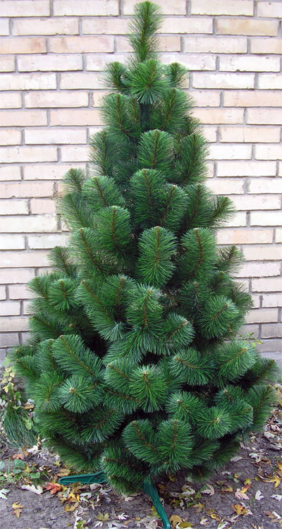 Искусственная елка Праздничная ЛЮКС 120 см
