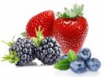 замороженные ягоды оптом по низким ценам