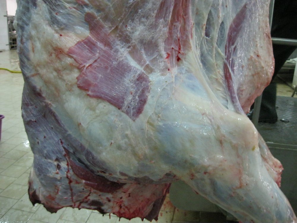 Мясо говяжье быки полутуши, четверти охлажденные и замороженные
