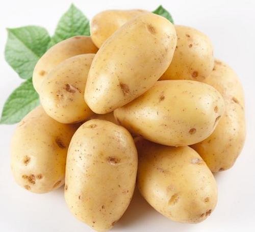 Продажа семенного картофеля Элита и РСТ