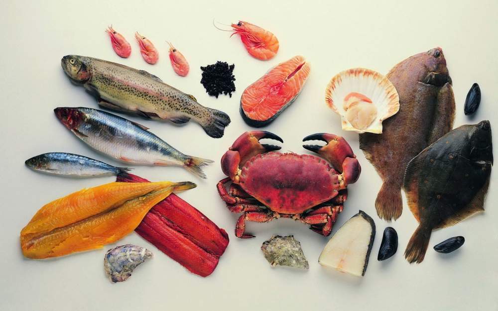 Морепродукты - польза и вред, виды, как часто можно кушать