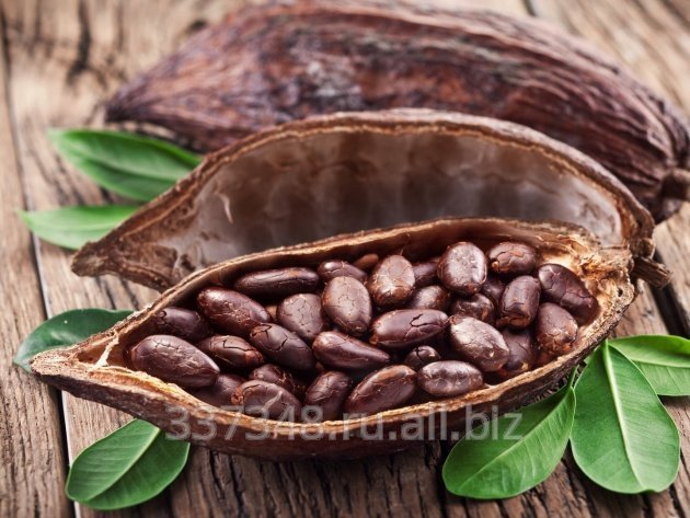 Органические Какао-бобы из Эквадора