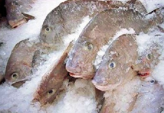 Рыба свежемороженая
