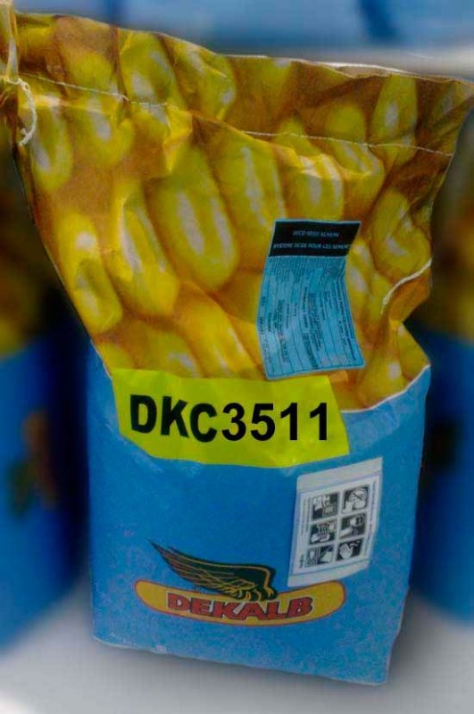 Гибридные семена кукурузы Monsanto DKC 3511 остатки