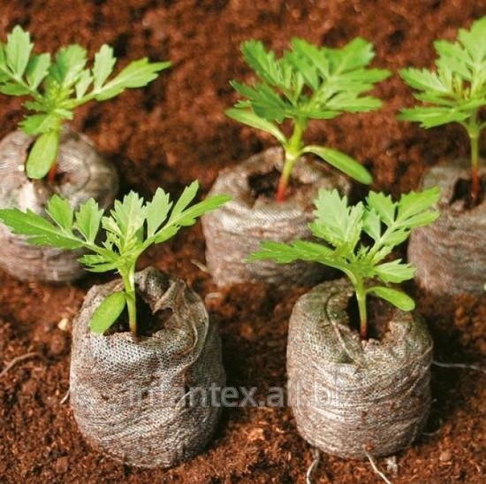 Торфяные таблетки Jiffy для выращивания рассады, 41 мм,1000 шт/кор