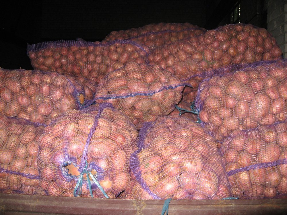 Картофель оптом от производителя 10р/кг