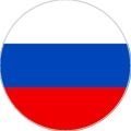 Пластина шунгитовая для телефона круглая Флаг России диаметр 20 мм
