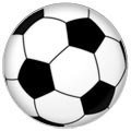 Пластина шунгитовая для телефона круглая Футбольный мяч диаметр 25 мм