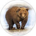 Пластина шунгитовая для телефона круглая Медведь диаметр 20 мм
