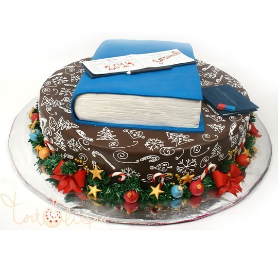 Студенческий торт для университета №213