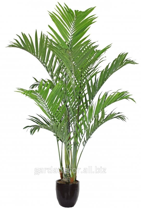 Растение искусственное Дипсис желтоватый LM-0786-527