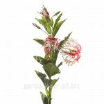 Искусственный цветок Гибискус бежево-розовый 7A83X00001