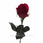 Роза бордовая 8J-1211S0002