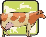 Комбикорм для крупного рогатого скота