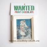 Шоколадная открытка "Дед Мороз и Снегурочка" 140мм х 100мм, арт. Отк-063Б