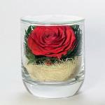 Натуральная роза в стеклянном стакане