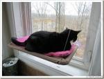 Лежанка подвесная для кошек Теплое местечко