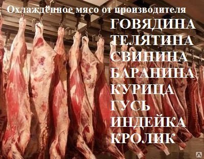 Реализуем охлаждённое мясо говядины