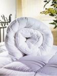 Одеяло высокосиликонизированное волокно 220х200